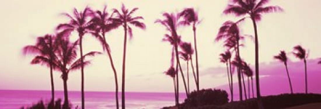 Silhouette of palm trees at dusk Hawaii USA Canvas Art - Panoramic Images (18 x 6)
