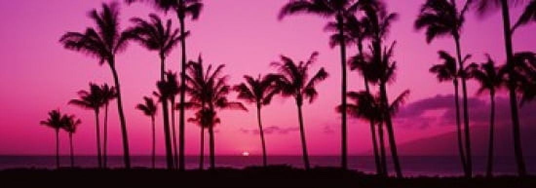 Silhouette of palm trees at dusk Hawaii USA Canvas Art - Panoramic Images (18 x 7)