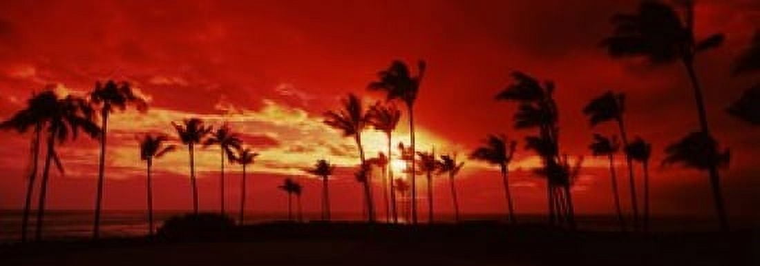 Silhouette of palm trees at dusk Hawaii USA Canvas Art - Panoramic Images (18 x 7)