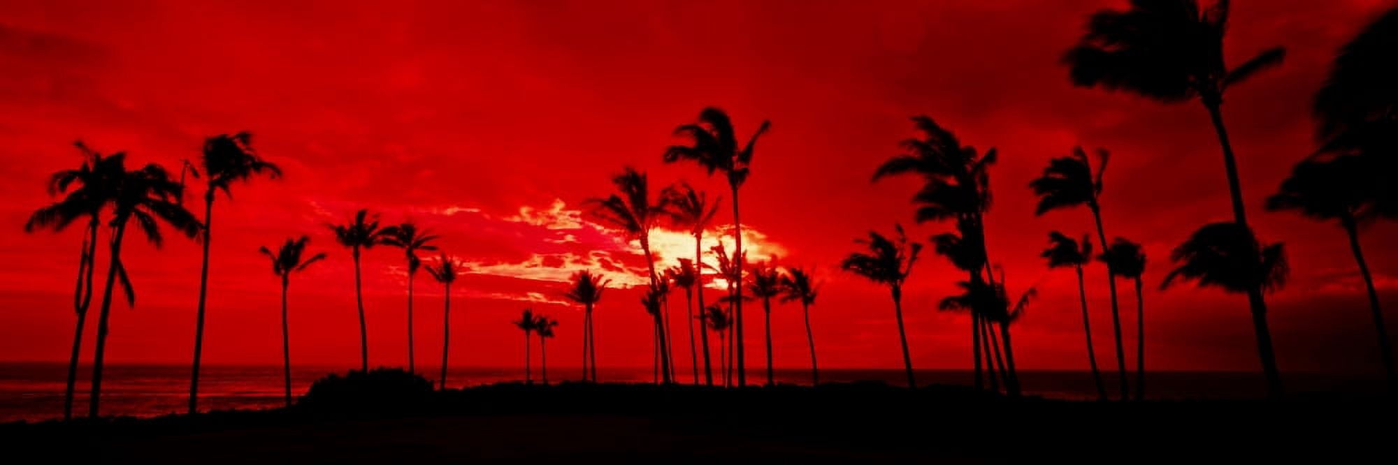 Silhouette of palm trees at dusk Hawaii USA Canvas Art - Panoramic Images (27 x 9)