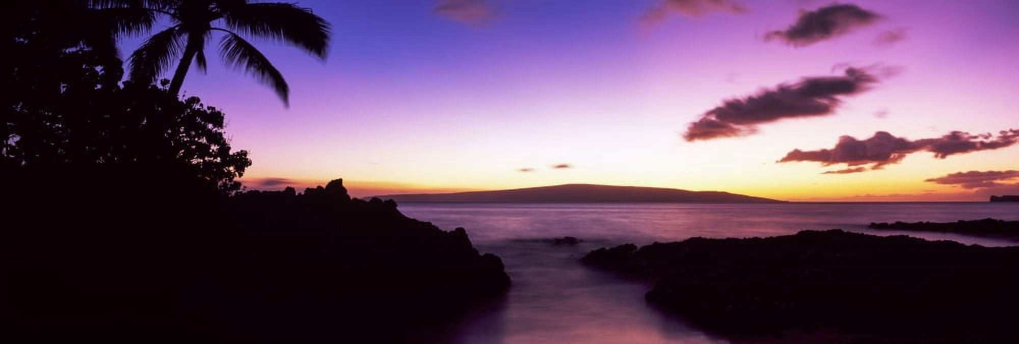 Silhouette of palm trees at dusk Maui Hawaii USA Canvas Art - Panoramic Images (27 x 9)