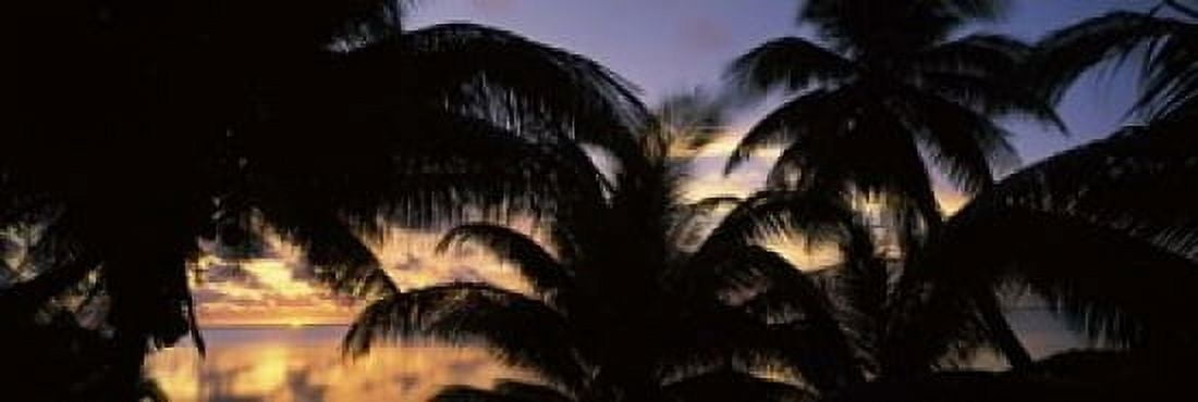 Silhouette of palm trees at sunset Aitutaki Cook Islands Canvas Art - Panoramic Images (18 x 6)