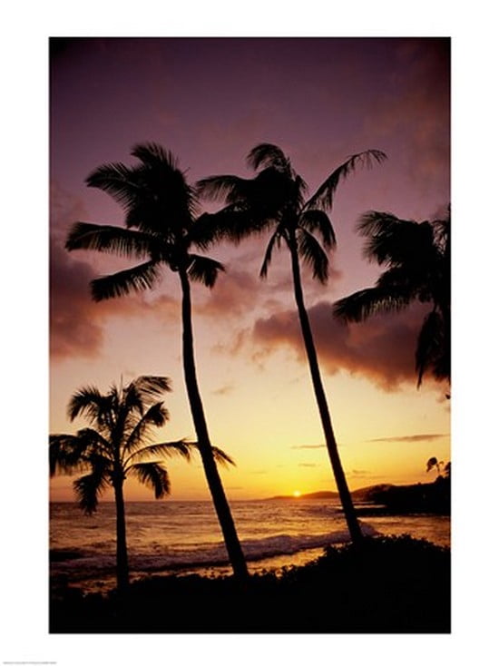 Silhouette of palm trees at sunset Kauai Hawaii USA Canvas Art -  (18 x 24)