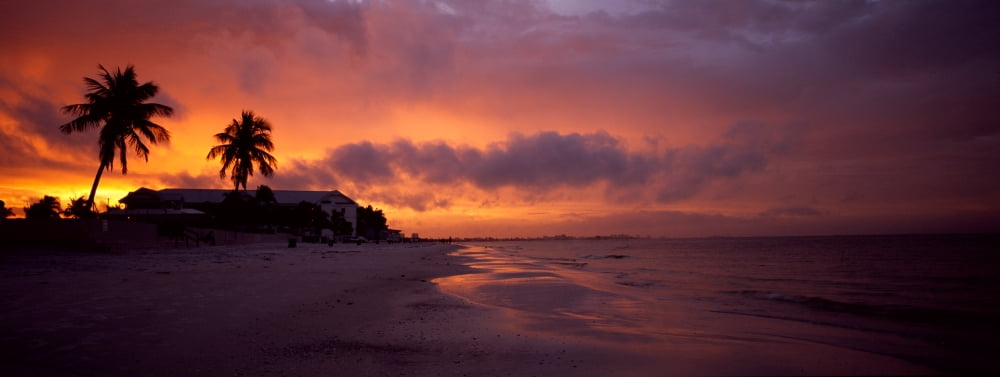 Silhouette of palm trees on the beach Fort Myers Beach Estero Island Lee County Florida USA Canvas Art - Panoramic Images (27 x 9)