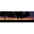 thumbnail image 1 of Silhouette of palm trees on the beach, Puuhonua o Honaunau National Historical Park, Big Island, Hawaii, USA Poster Print (18 x 6), 1 of 1