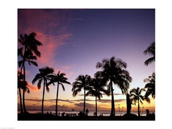 Silhouette of palm trees on the beach Waikiki Beach Honolulu Oahu Hawaii USA Canvas Art - (24 x 18)