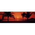 thumbnail image 1 of Silhouette of palm trees on the beach at dusk, Lydgate Park, Kauai, Hawaii, USA Poster Print (18 x 6), 1 of 1