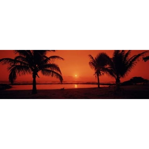 Silhouette of palm trees on the beach at dusk, Lydgate Park, Kauai, Hawaii, USA Poster Print (18 x 6)