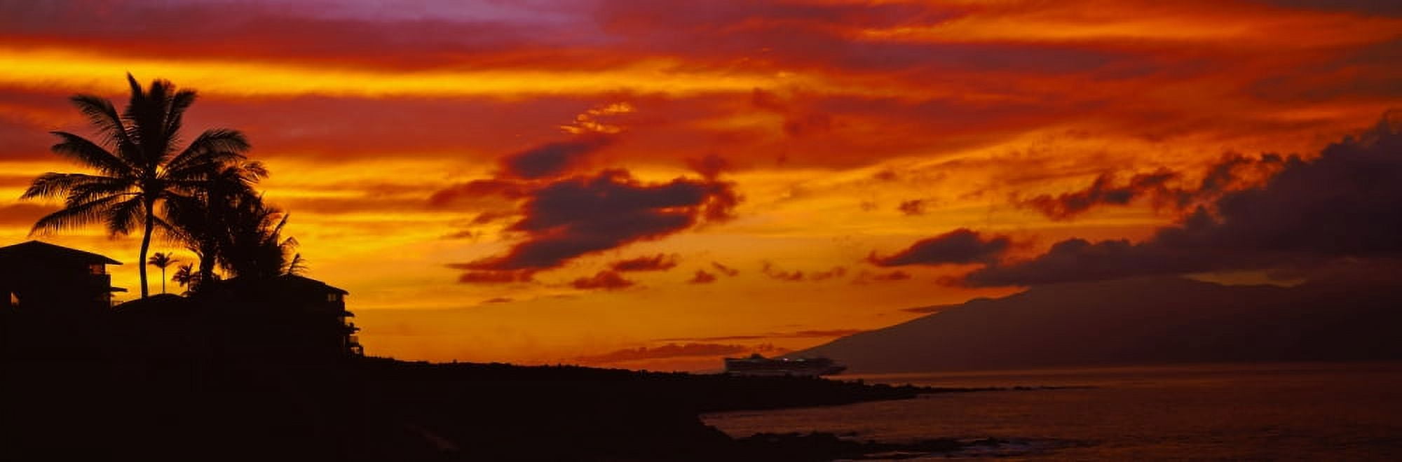 Silhouette of palm trees on the coast Oahu Hawaii USA Canvas Art - Panoramic Images (27 x 9)