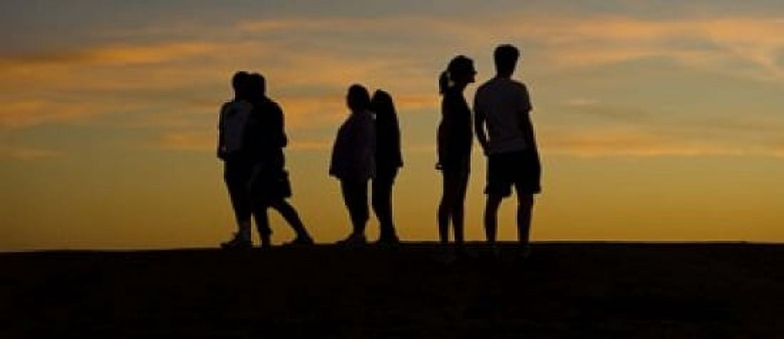 Silhouette of people on a hill Baldwin Hills Scenic Overlook Los Angeles County California USA Canvas Art - Panoramic Images (15 x 6)