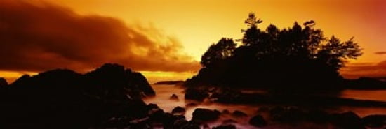 Silhouette of rocks and trees at sunset Tofino Vancouver Island British Columbia Canada Canvas Art - Panoramic Images (36 x 12)