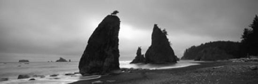 Silhouette of seastacks at sunset Olympic National Park Washington State USA Canvas Art - Panoramic Images (18 x 6)
