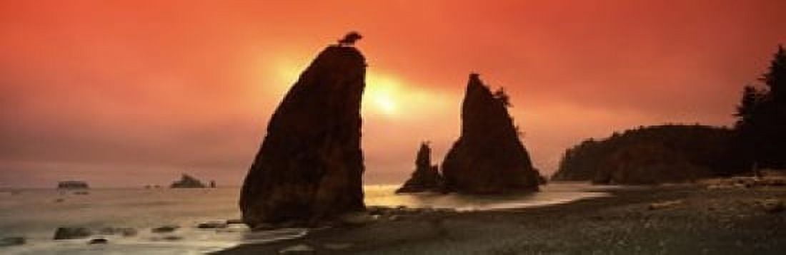 Silhouette of seastacks at sunset Olympic National Park Washington State USA Canvas Art - Panoramic Images (18 x 6)