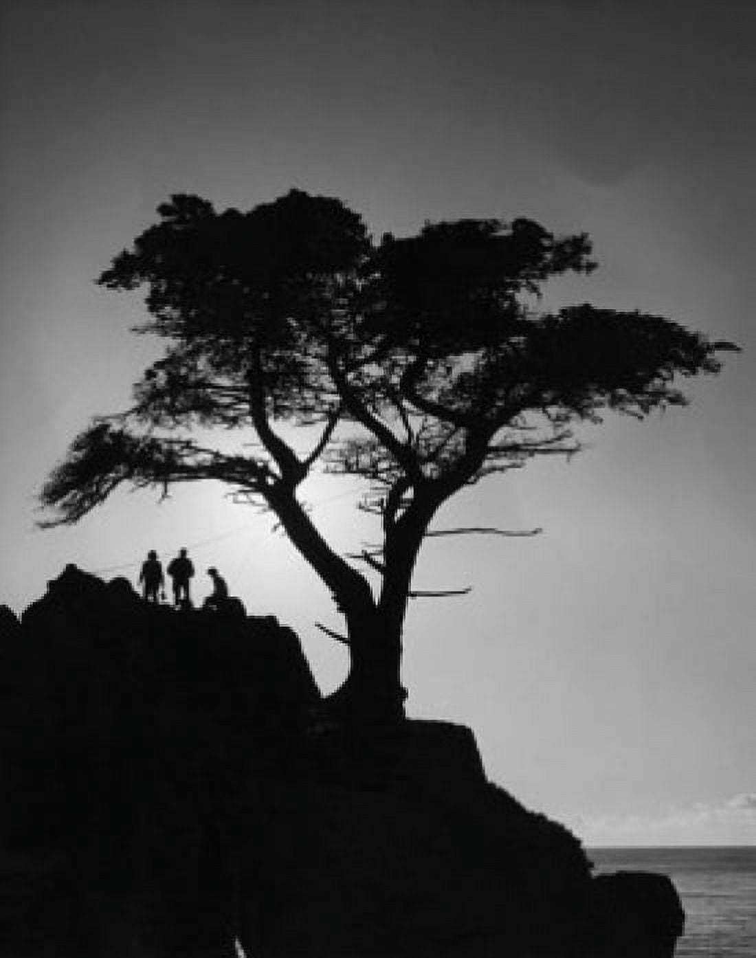 Silhouette of three people on a rock near a cypress tree Canvas Art - (18 x 24)