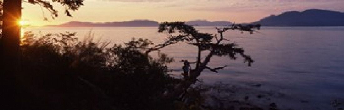 Silhouette of trees at seaside Rosario Strait San Juan Islands Washington State USA Canvas Art - Panoramic Images (36 x 12)