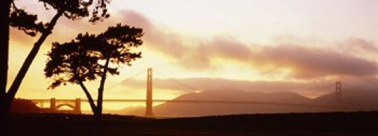 Silhouette of trees at sunset Golden Gate Bridge San Francisco California USA Canvas Art - Panoramic Images (36 x 13)