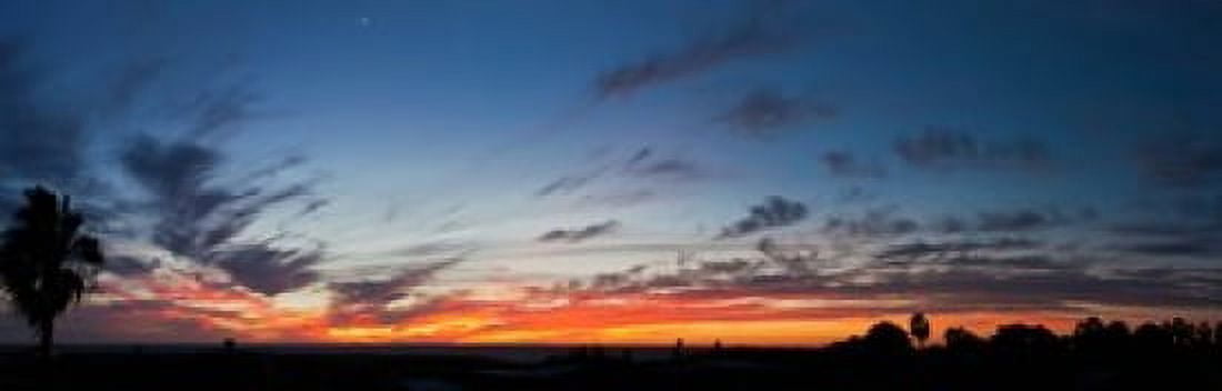 Silhouette of trees at sunset Todos Santos Baja California Mexico Canvas Art - Panoramic Images (18 x 6)