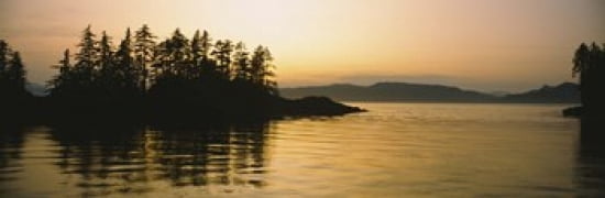 Silhouette of trees in an island Frederick Sound Alaska USA Canvas Art - Panoramic Images (36 x 12)