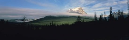 Silhouette of trees with a mountain in the background Canadian Rockies Alberta Canada Canvas Art - Panoramic Images (36 x 12)