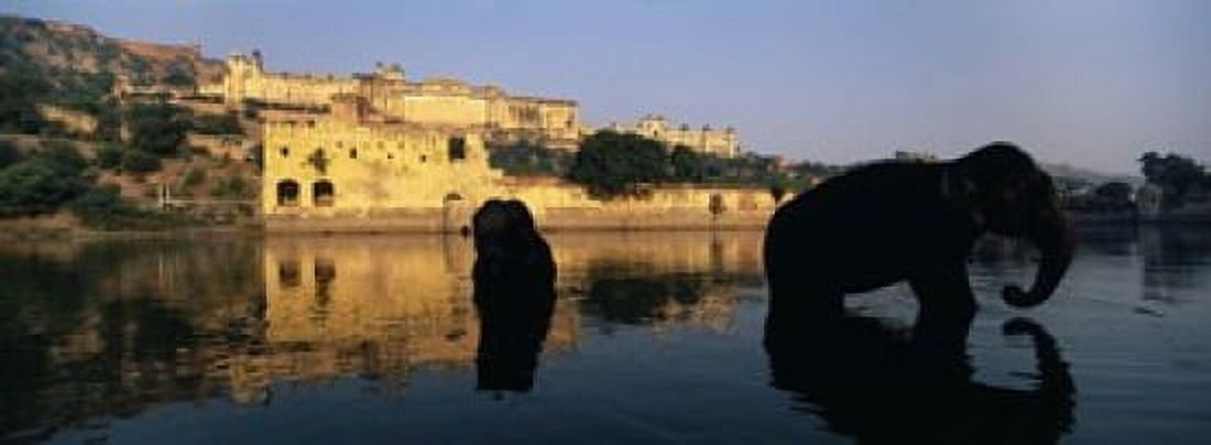 Silhouette of two elephants in a river Amber Fort Jaipur Rajasthan India Canvas Art - Panoramic Images (18 x 7)