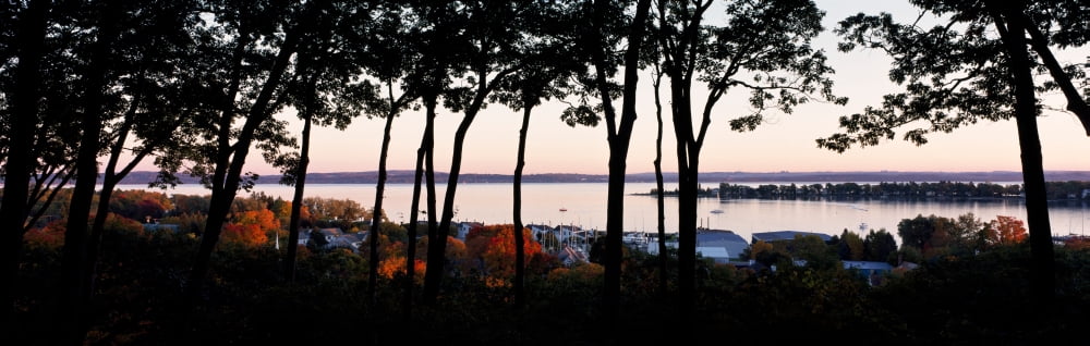 Silhouette of trees at dusk Little Traverse Bay Harbor Springs West Traverse Township Emmet County Michigan USA Canvas Art - Panoramic Images (6 x 18)
