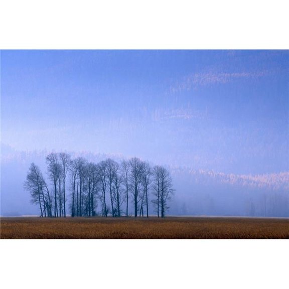 Silhouetted Cottonwood Trees Swan River National Wildlife Refuge Autumn Mist Poster Print by Natural Selection John Reddy - 18 x 12