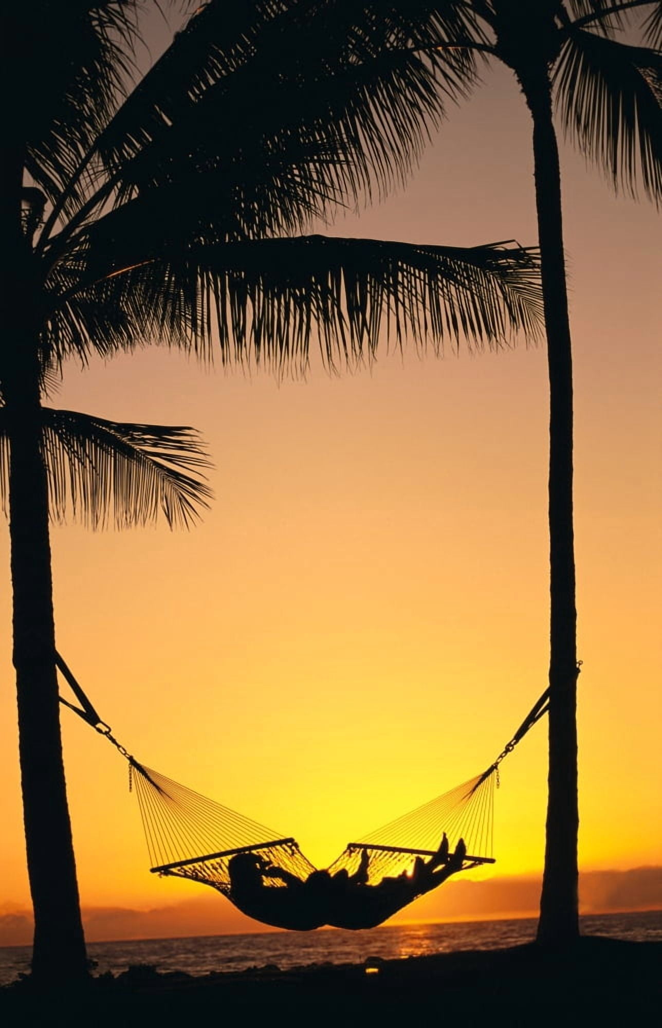 Silhouetted Couple Laying In Hammock On Beach At Sunset Palm Trees Canvas Art - Dana Edmunds  Design Pics (12 x 19)