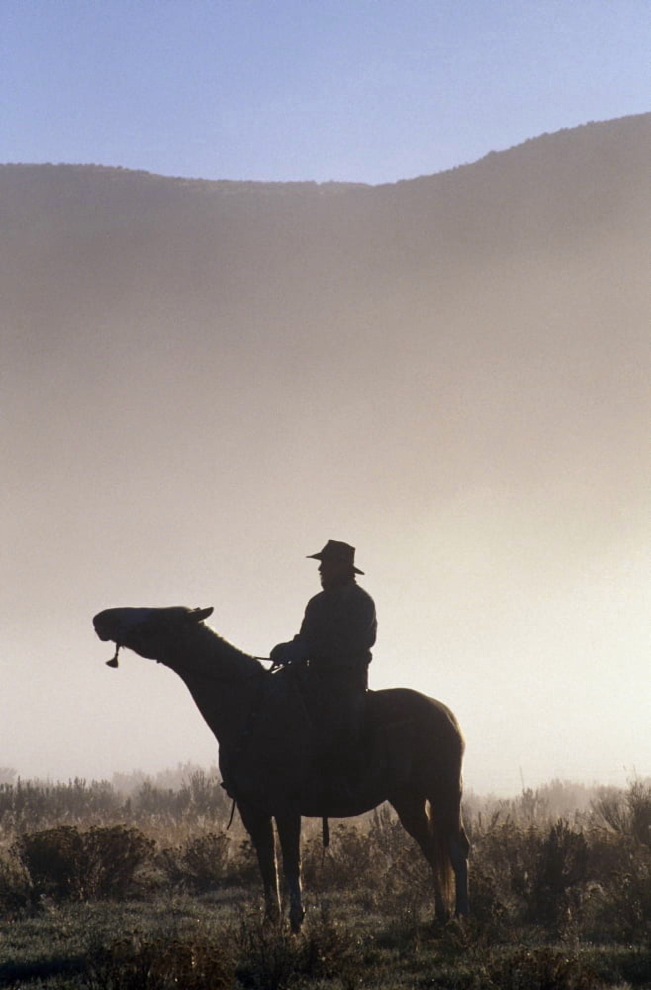 Silhouetted Cowboy On Horseback In Fog Canvas Art - Natural Selection Craig Tuttle Design Pics (24 x 36)