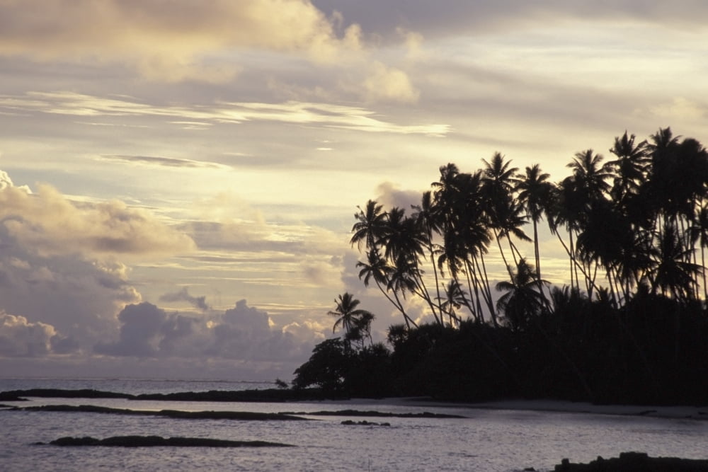 Silhouetted Palm Trees Over Beach At Sunset Canvas Art - Paul Miles Design Pics (19 x 12)
