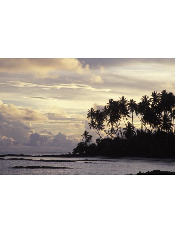 Silhouetted Palm Trees Over Beach At Sunset Canvas Art - Paul Miles Design Pics (19 x 12)