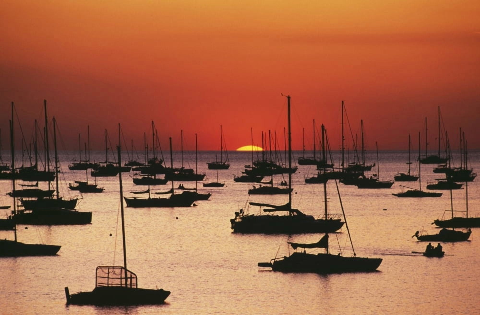 Silhouetted Sailboats In Darwin Harbor Canvas Art - Michael Coyne  Design Pics (19 x 12)