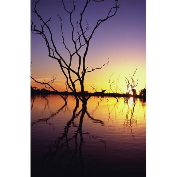 Silhouetted Trees In Lake Bennet At Sunset Poster Print, 22 x 34 - Large