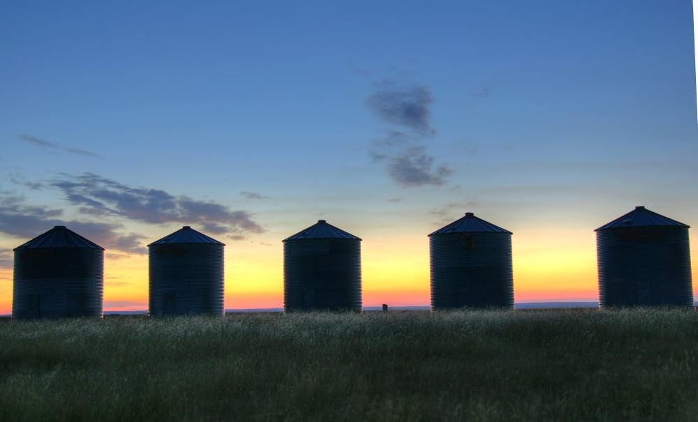Silhouettes Of Silos At Sunrise Val Marie Saskatchewan Canvas Art - Robert Postma Design Pics (36 x 22)