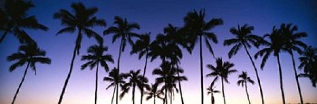 Silhouettes of palm trees at sunset Canvas Art - Panoramic Images (18 x 6)