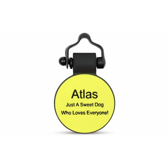 SiliDog 100% Silicone Pet Tags Yellow Circle