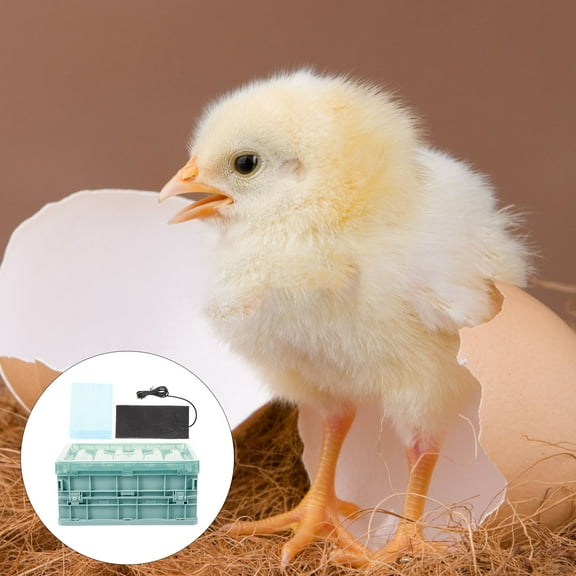 QIFULL Parrot Egg Incubator Plastic Parrot Incubator Assorted Color 1 Set