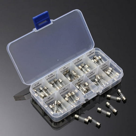 QIFULL 100Pcs Glass Tube Fuse Kit for Car Use Durable Glass and Hard Plastic Clear Box with 10 Ampere Values