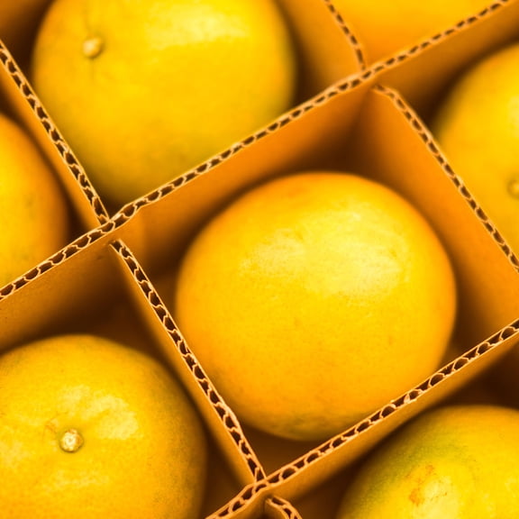 QIFULL 18Pcs Wine Glass Packaging Boxes with Khaki Cardboard Dividers for Safe Moving