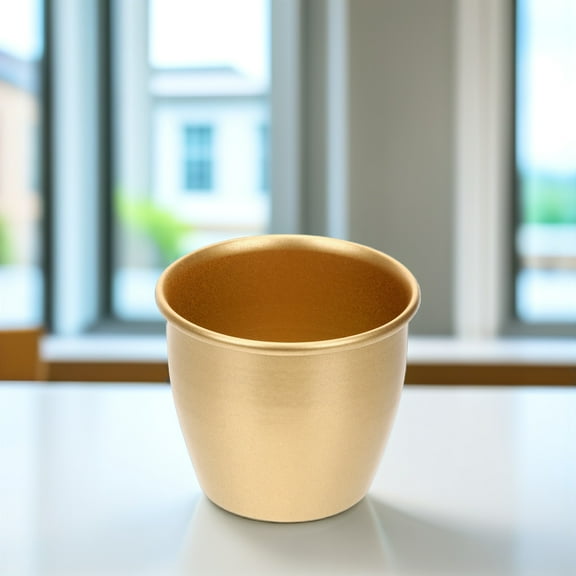 QIFULL Flower Pot Metal Decor Indoor Plant Pot Golden Round Decoration for Gardeners 1Pack