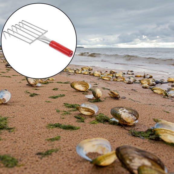 QIFULL Qifull Shell Rake Stainless Steel Ergonomic Handle for Beach and Garden Use