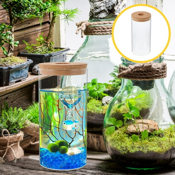 QIFULL Transparent Glass Moss Plant Bottle with Easy to Clean Smooth Design