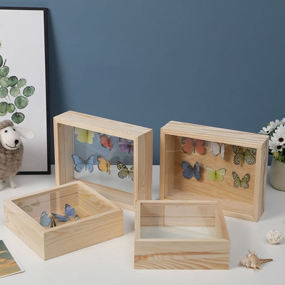 Siliaire 38.0X22.0X5.5in Insect Display Case for Experimentation 1Set