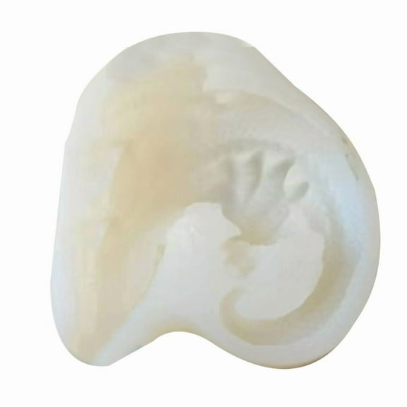 Silicone Dinosaur Chocolate Mold Birthday Cakes Resin Molds Dinosaur Egg Epoxy Casting Mold Christmas Backing DIY Supply