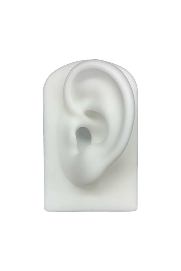Silicone Ear Model Reused Ear Displays Mould 1:1 Professional Piercings Practice Tools for Earrings Ear Studs Stand