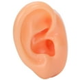 thumbnail image 1 of Silicone Ear Model, Right Soft Flexible Model Fake Ear Piercing Practice, Silicone Body Parts, Realistic Silicone Ear Mold for Jewelry Display Acupuncture Mannequin Teaching Instruction, 1 of 9