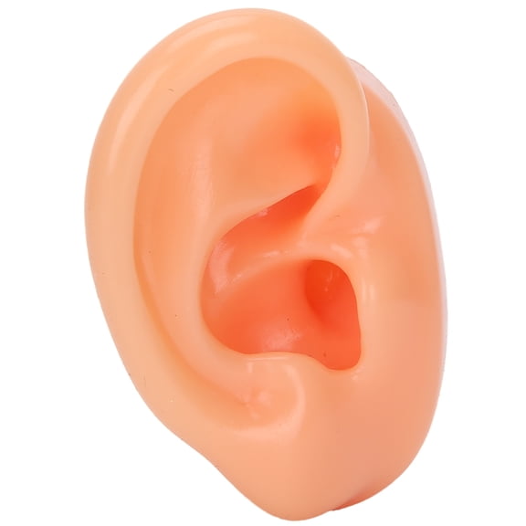 Silicone Ear Model, Right Soft Flexible Model Fake Ear Piercing Practice, Silicone Body Parts, Realistic Silicone Ear Mold for Jewelry Display Acupuncture Mannequin Teaching Instruction