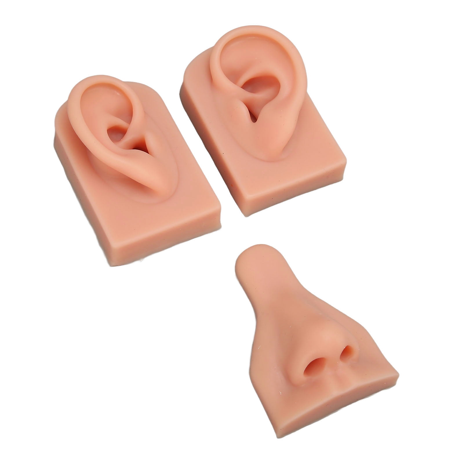 Silicone Ear Model, Soft Silicone Nose Model, Silicone Body Parts For