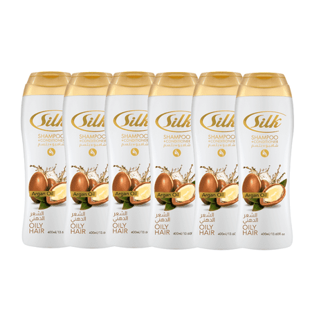 Silk Argan Oil 2 in 1 Shampoo and Conditioner for All Type Hair: Clarifying, Balancing, Volume & Shine, Deep Cleanses Greasy Scalp, Lightweight Formula, 13.6 fl oz Each, 6 Pack
