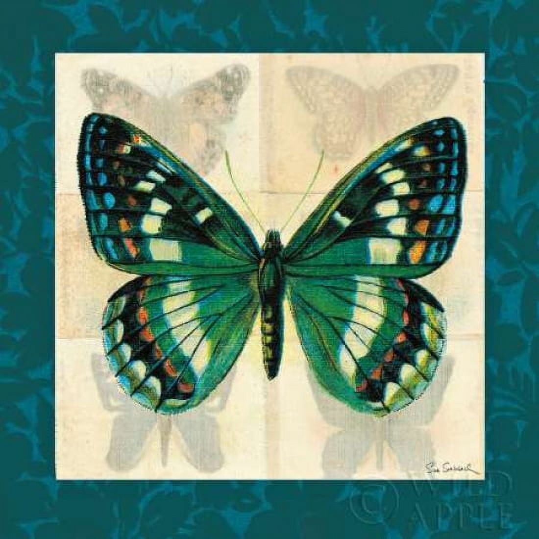 Silk Butterfly II Canvas Art - Sue Schlabach (24 x 24)