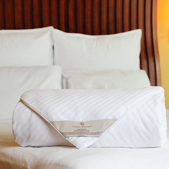 Silk Comforter for Spring/Summer/Fall, 100% Long-Strand Silk Filling, Natural & Breathable (Queen Size)